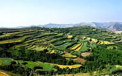 u=1084014931,3256917823&fm=26&gp=0 u=1084014931,3256917823&fm=26&gp=0