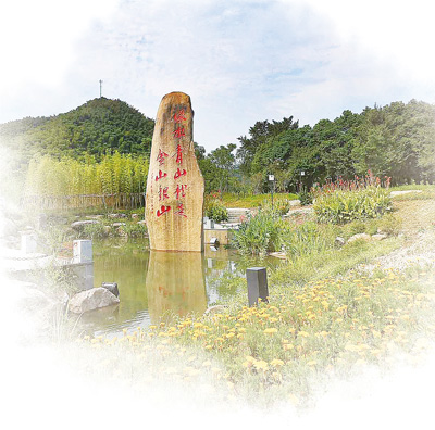 1502998601617_1 1502998601617_1