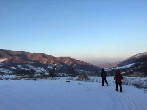 ▲记者在村里走访。新京报记者 李明 摄