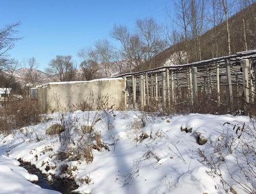 ▲去年12月13日上午，王大姐带记者来到家人曾遇难的地方。新京报记者 李明 摄