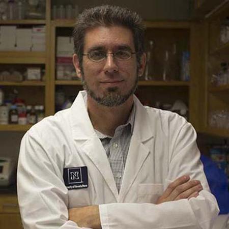 美学者获军方资助研发不咬人蚊子:欲改变其基因