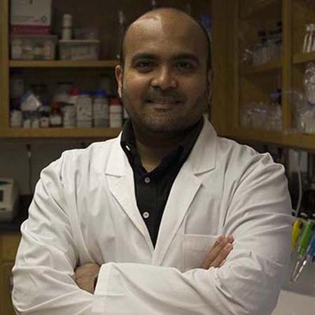 美学者获军方资助研发不咬人蚊子:欲改变其基因