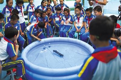 1121514017_15032754867091n 1121514017_15032754867091n