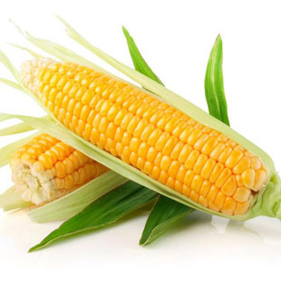 T1rTBtFbNaXXXXXXXX_!!0-item_pic T1rTBtFbNaXXXXXXXX_!!0-item_pic