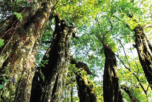 W020170821415020068194 W020170821415020068194