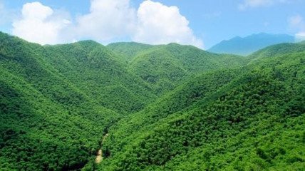 t016f50285aa899f959 t016f50285aa899f959