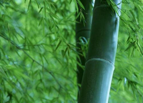 QQ截图20170823093815 QQ截图20170823093815