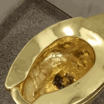 图片来自instagram，版权属于原作者