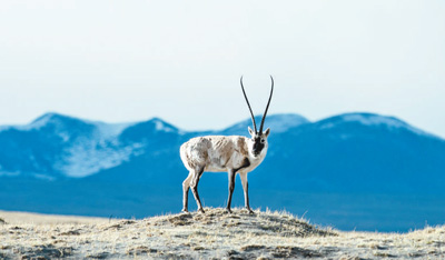 1503515751982_1 1503515751982_1