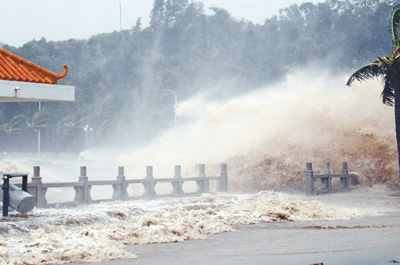 1503515885992_1 1503515885992_1