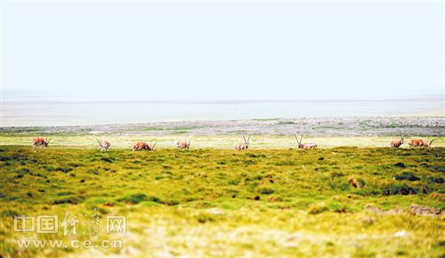 W020170824262996102925 W020170824262996102925