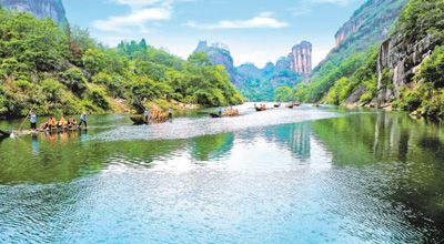 12391674087534933050 12391674087534933050