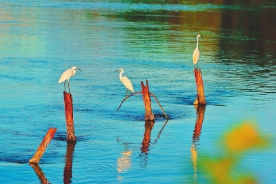 dc4a3e46a1581b086b6504 dc4a3e46a1581b086b6504