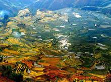 云南省政协呼吁挖掘徐霞客旅游文化价值