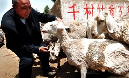 一年来,习近平推动东西扶贫协作再上新台阶