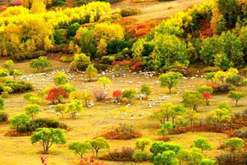 绿色奇迹：茫?；脑ぢ趟嗌街?>
                                <h1>
                                    
                                    
                                        绿色奇迹：茫?；脑ぢ趟嗌街?                                    
                                </h1>
                                <p>这里不仅造就了中国高寒沙地生态建设史无前例的绿色奇迹，也诠释了“绿水青山就是金山银山”的发展之变，为中国提供了一个血肉丰满的范例。<span style=