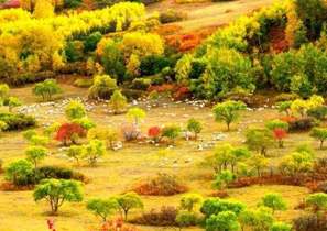 绿色奇迹：茫?；脑ぢ趟嗌街?>
						<h1>
							
							
								绿色奇迹：茫?；脑ぢ趟嗌街?							
						</h1>
						<p>
							这里不仅造就了中国高寒沙地生态建设史无前例的绿色奇迹，也诠释了“绿水青山就是金山银山”的发展之变，为中国提供了一个血肉丰满的范例。
						</p>
					</a>
					<a href=