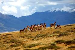 “世遗”保护的中国答卷——可可西里、鼓浪屿申遗成功启示录