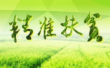 t018637ce07da876666 t018637ce07da876666