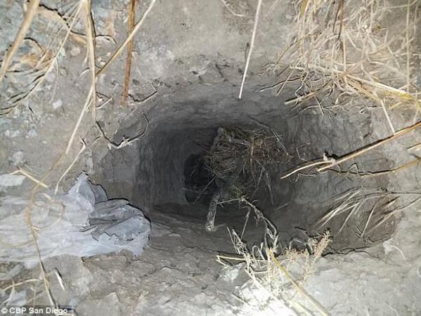 1503875567652156.jpg 1.jpg