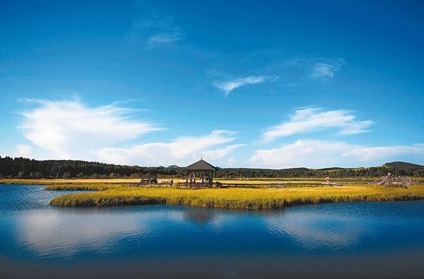 2017080402 2017080402