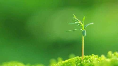 u=1605751667,4275858549&fm=26&gp=0 u=1605751667,4275858549&fm=26&gp=0