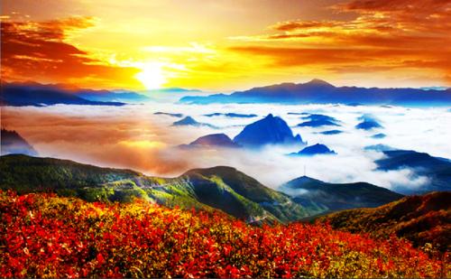 u=196638142,3277082135&fm=26&gp=0 u=196638142,3277082135&fm=26&gp=0