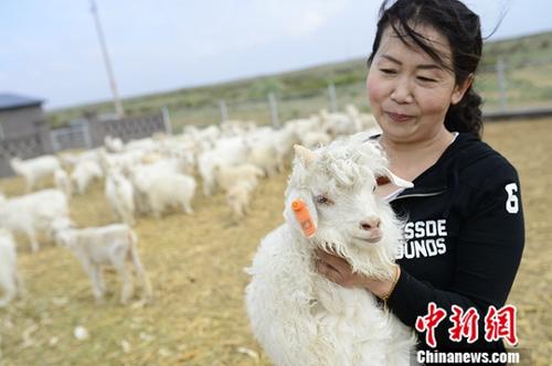 ffd650447d2d4bc0ab55c17d3a4e1ab8 ffd650447d2d4bc0ab55c17d3a4e1ab8