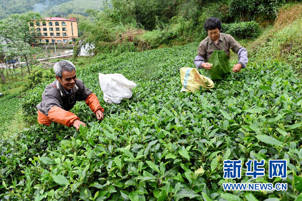 1121573493_15041221079441n 1121573493_15041221079441n