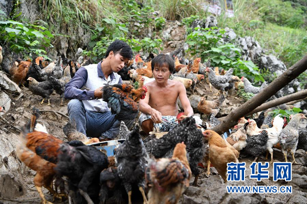 1121573493_15041216604681n 1121573493_15041216604681n