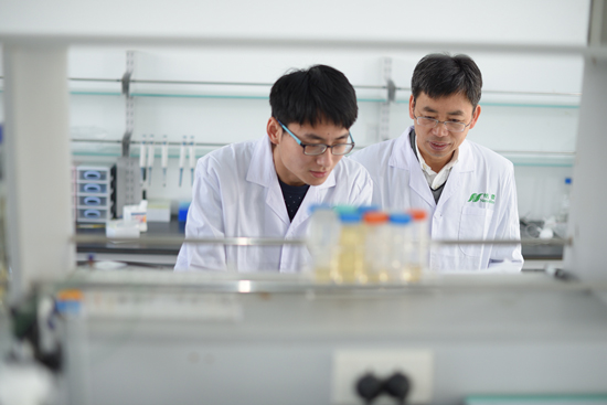 1121575011_15041412283651n 1121575011_15041412283651n