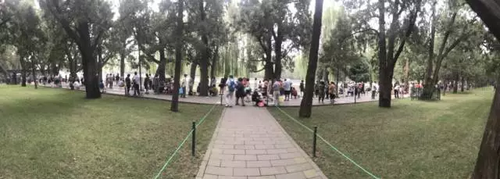 俩记者亲测公园相亲:女记者抢手 男记者无人问津