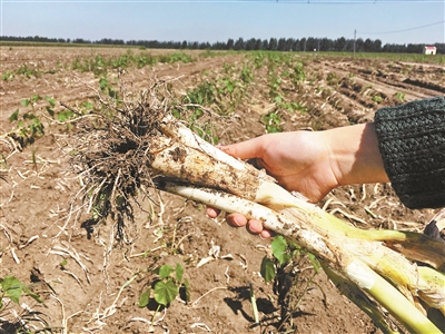 1121581044_15042196775991n 1121581044_15042196775991n