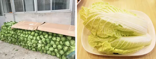 南北方买菜差别引热议:南方买一顿 北方买一吨