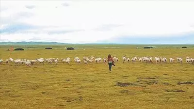 南北方买菜差别引热议:南方买一顿 北方买一吨