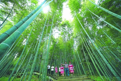 c8ff2854c8fb1b08923b05 c8ff2854c8fb1b08923b05