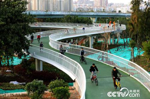 骑行车道的骑行区地面为铬绿色