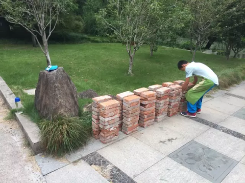 11岁搬砖男孩已退学:学校的教育不好 我自己可以学