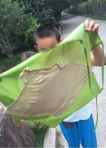 11岁搬砖男孩已退学:学校的教育不好 我自己可以学