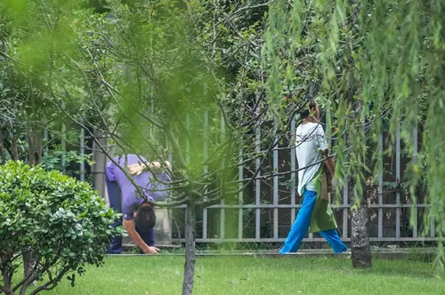 11岁搬砖男孩已退学:学校的教育不好 我自己可以学