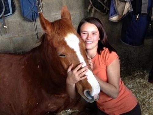 触目惊心！英暴徒持刀乱捅马匹15刀造其重伤