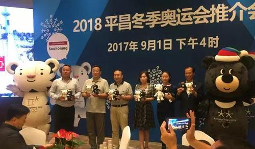 平昌冬奥会 平昌冬奥会