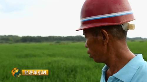 日本努力30年没完成的农业大计 中国师生做到了