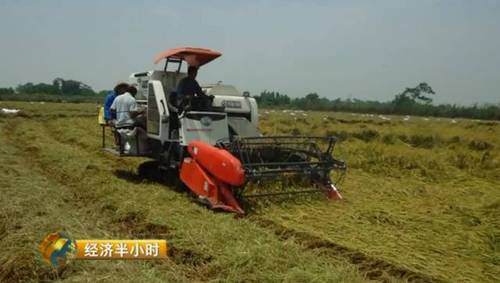 日本努力30年没完成的农业大计 中国师生做到了