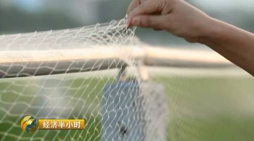 日本努力30年没完成的农业大计 中国师生做到了