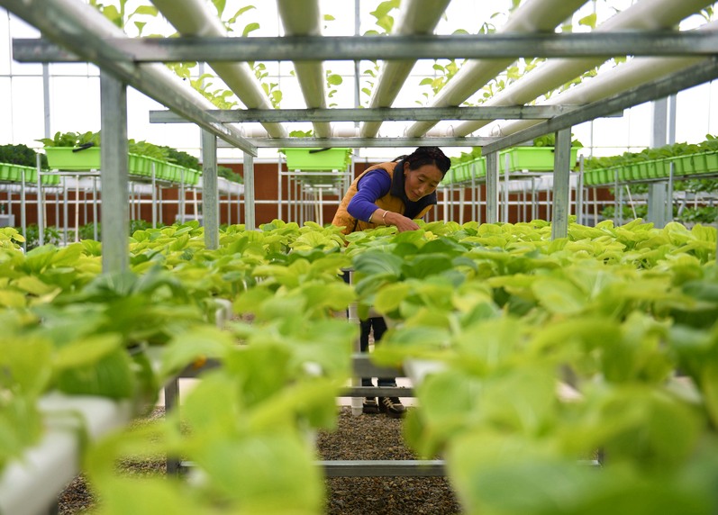 天上阿里 果蔬飘香