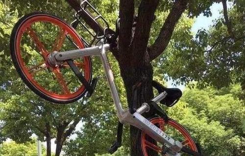 QQ截图20170905143744 QQ截图20170905143744