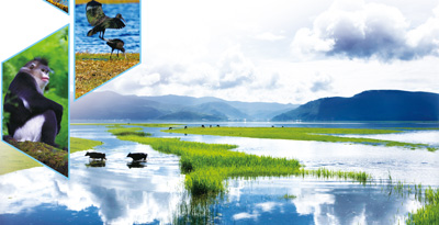 1504640428009_1 1504640428009_1