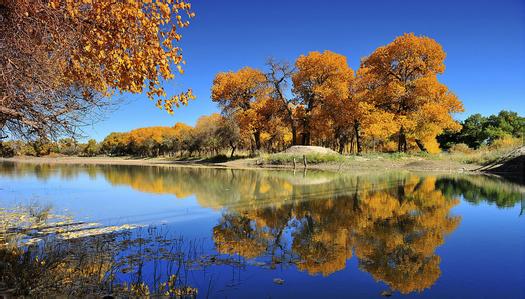 u=932655277,2082631077&fm=11&gp=0 u=932655277,2082631077&fm=11&gp=0