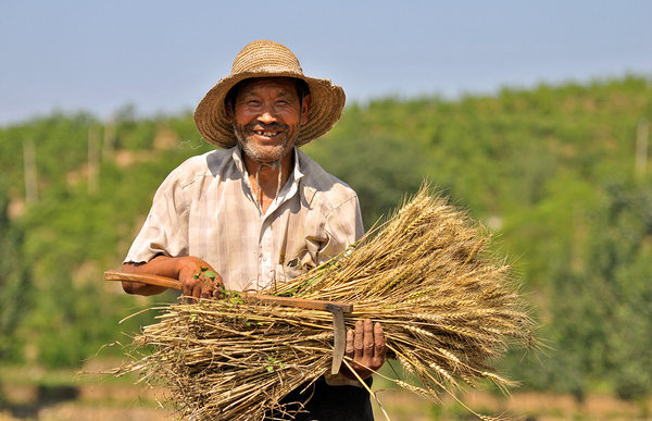 20151301056415841 20151301056415841